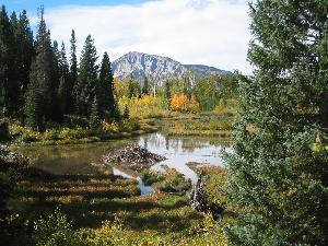 Fall Colors in Crested Butte