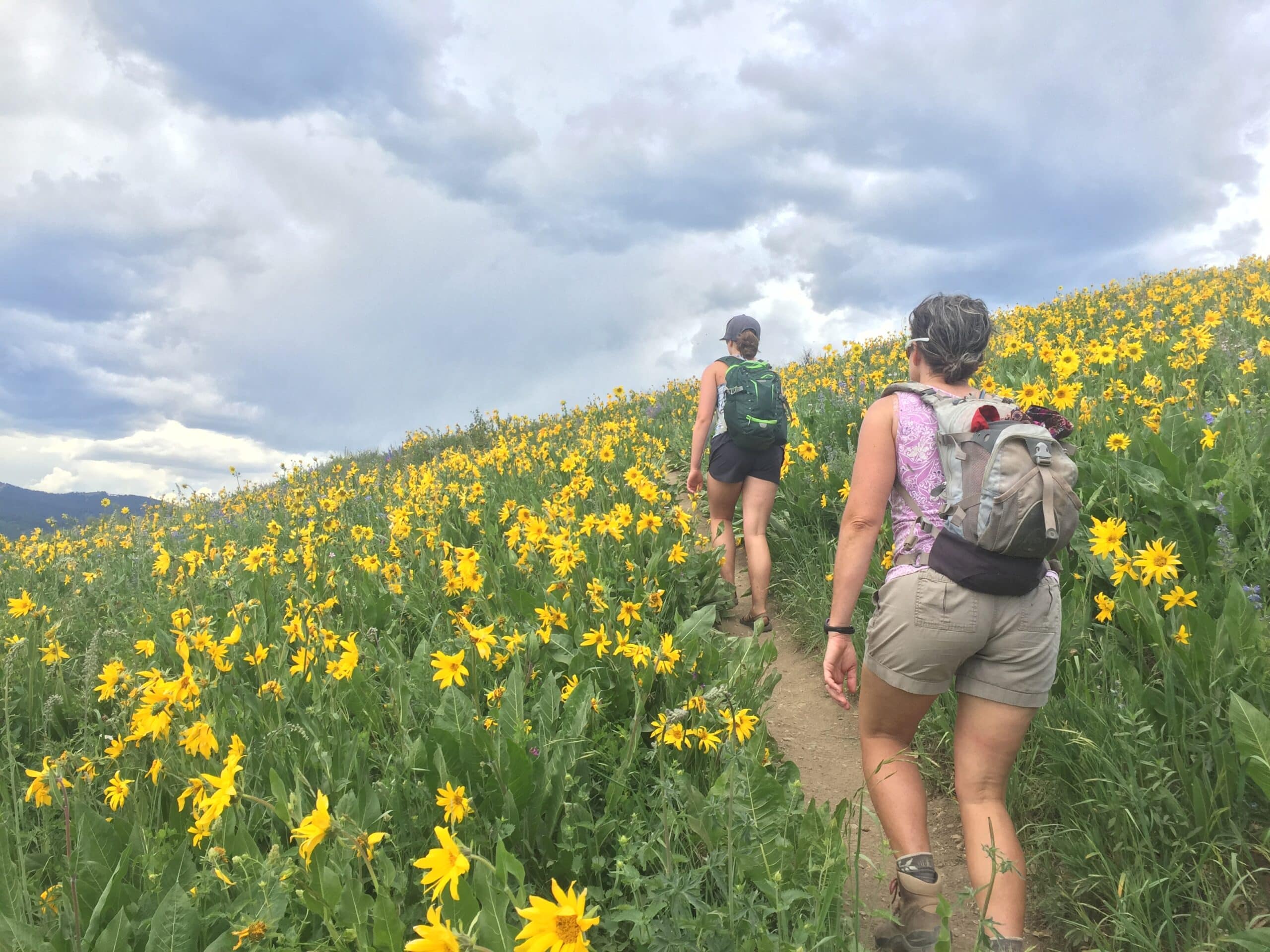 Wildflower Capital of Colorado