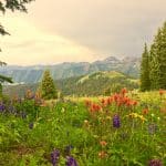 Crested Butte Lodging