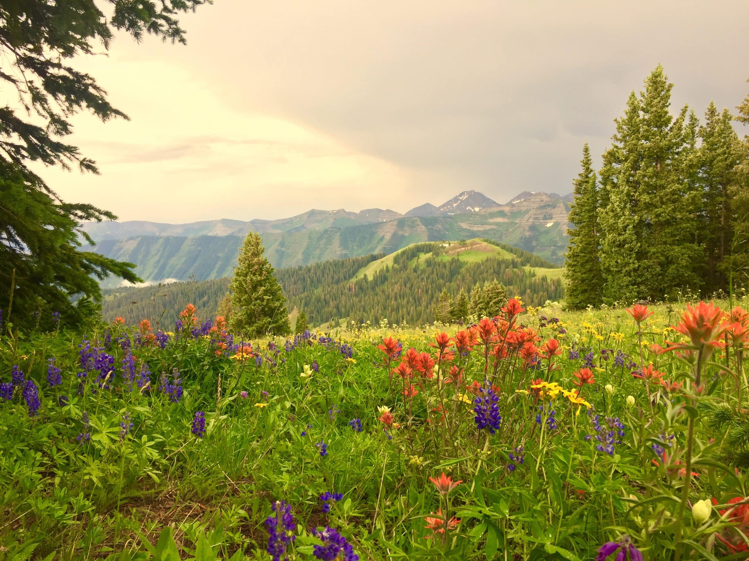 Crested Butte, Colorado